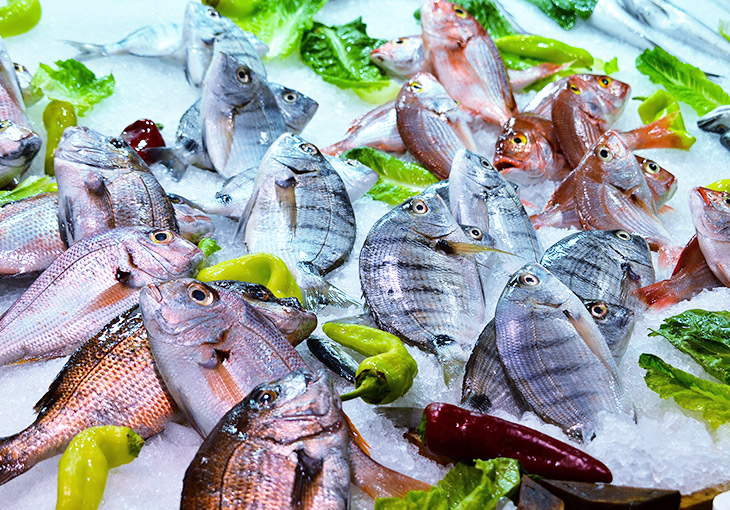 ʳ���䶳��ؼ���ӹ�ϵͳ����ƻ�